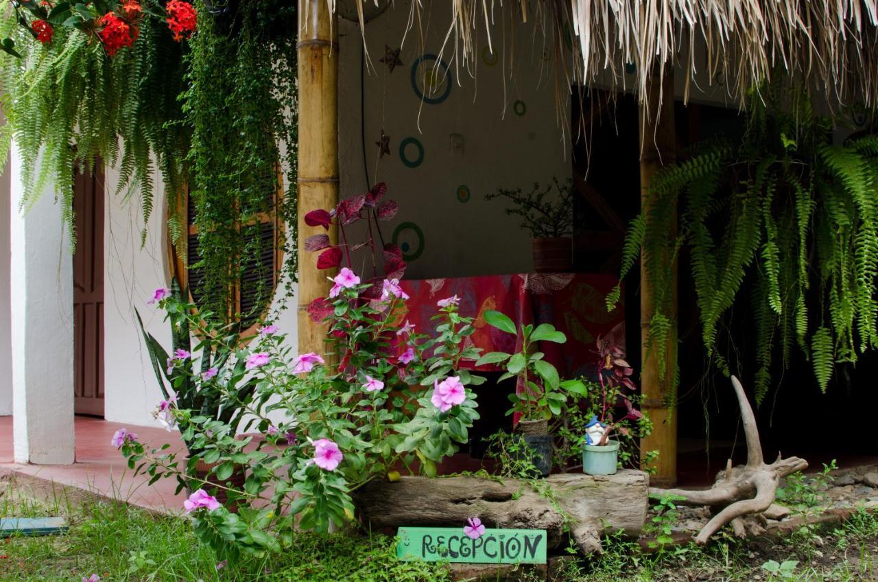 Hostal Corazon De Tagua Palomino Esterno foto
