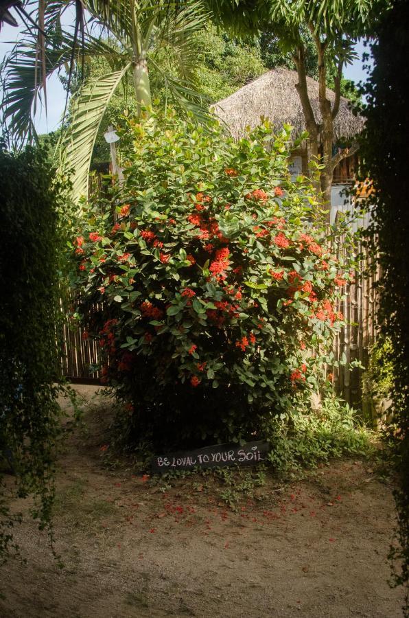 Hostal Corazon De Tagua Palomino Esterno foto